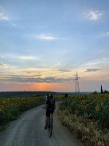 Grupna biciklisticka tura, polje suncokreta, Bukovac | eMTB.rs