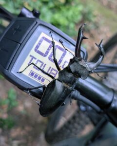 Jelenak, Raketa Trail | eMTB.rs